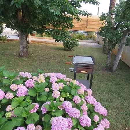 Apartment Vilma Porec